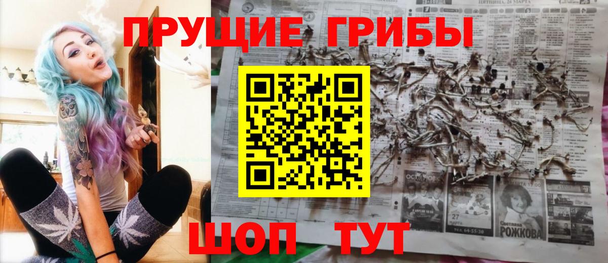 Михайловка  Галлюциногенные грибы Cubensis  Вход с VPN 