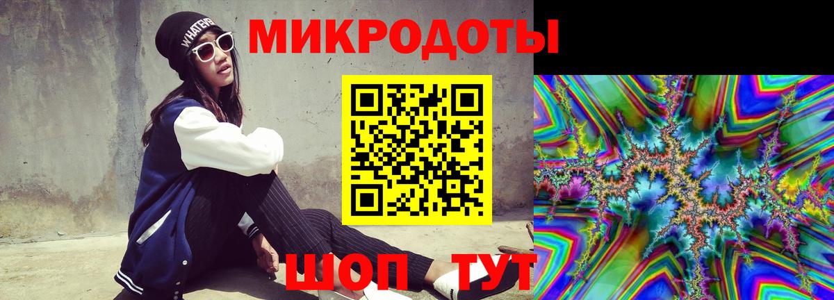 Псилоцибиновые грибы Psilocybe Михайловка